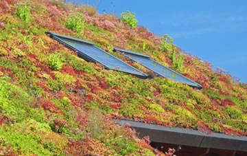 Gairney Bank living roof systems
