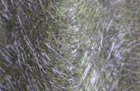 Gairney Bank fibreglass roof work